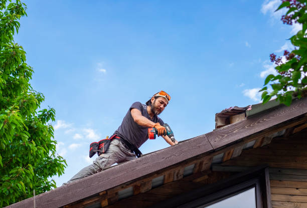 Best Roof Moss and Algae Removal  in Fort Myers Beach, FL